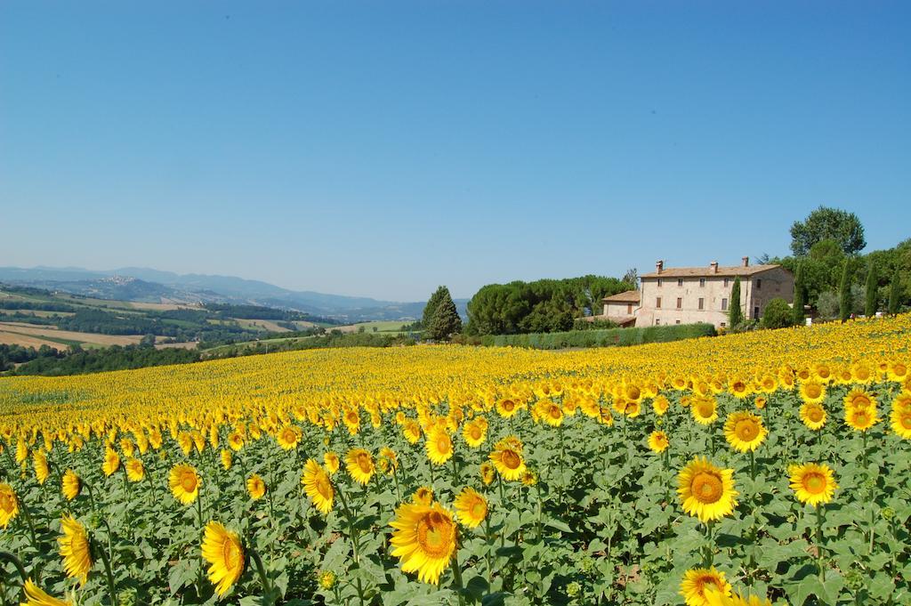 Agriturismo Casale Dei Frontini San Terenziano Exterior photo