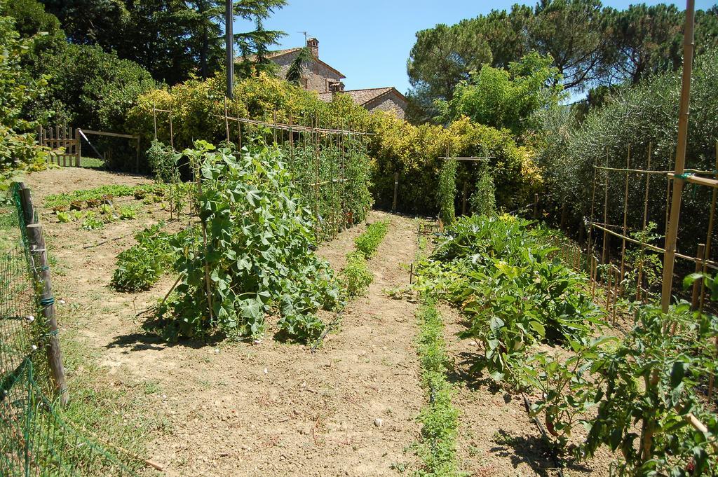 Agriturismo Casale Dei Frontini San Terenziano Exterior photo