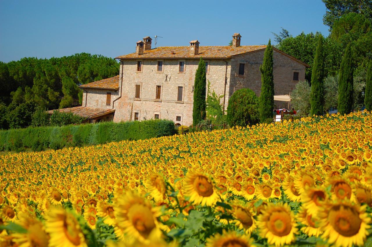 Agriturismo Casale Dei Frontini San Terenziano Exterior photo